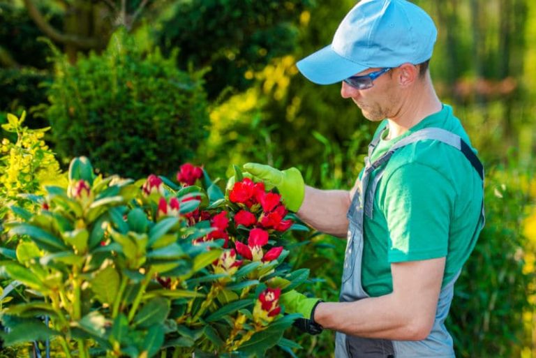 Quel est le salaire moyen d’un paysagiste ? – Guide Fleurs